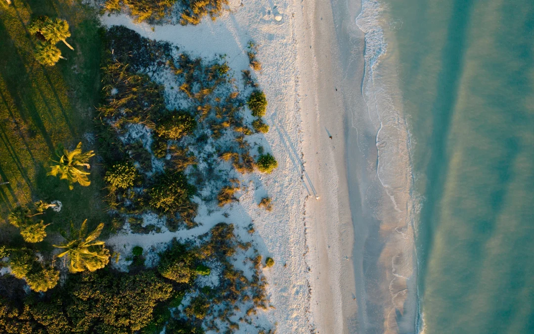 What International Property Investors Need from a Florida Property Management Company