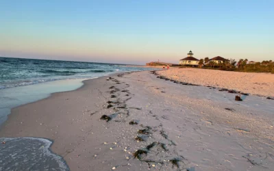 Landlord Dos and Donts: Practical Tips from Madeira Beach Property Management Pros