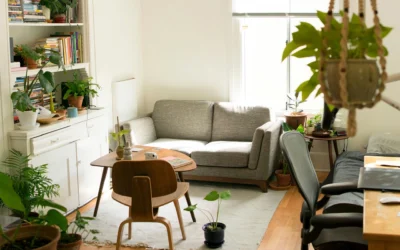 How to Choose the Right Property Management Company in Port Richey, FL